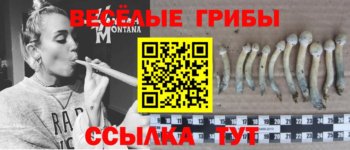 Псилоцибиновые грибы MAGIC MUSHROOMS  Вход с VPN  Ангарск 
