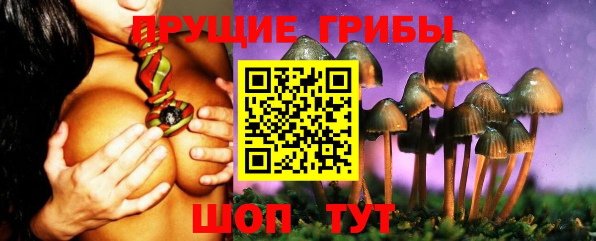 Галлюциногенные грибы Psilocybine cubensis Ангарск
